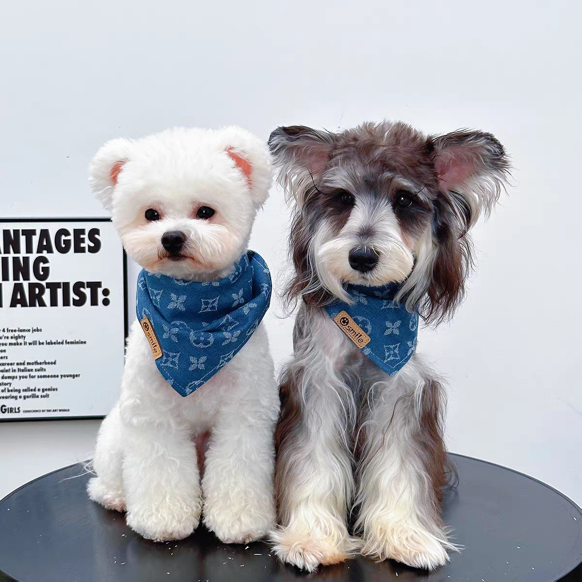 Bufandas para perros, bufandas de saliva, accesorios para el cuello, nuevos modelos clásicos, nuevas mascotas, perros pequeños, gatos, perros medianos