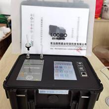采购LB-FD500智能环境氡测量仪 全触控操作 支持各种中英文输入方