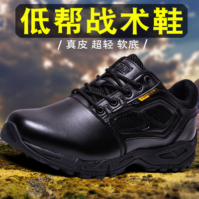 真皮超轻低帮作训鞋男体能训练鞋蜘蛛靴防水耐磨登山鞋软底运动鞋