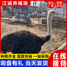 ���۷����r�B���̻��w �@�־��^�^�p�����r�B �r�B�������Xһ��