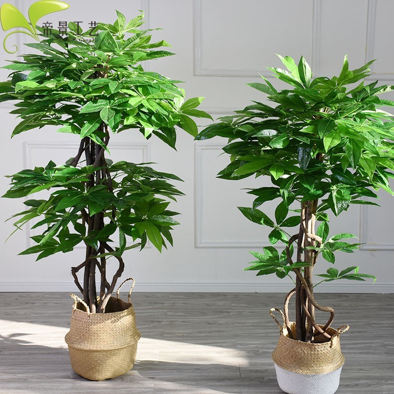 幸運の木盆栽本物の木の幹人工植物床置きホームセットフラワーエントリーガーデン|undefined