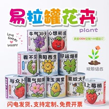 易拉罐绿植盆栽桌面罐头植物幼儿园幸运草创意礼品伴手礼小学生