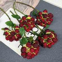 ��֦��ݮ���滨С֦�t����ٻ�����[�����滨��c�����ݮ�ٻ���