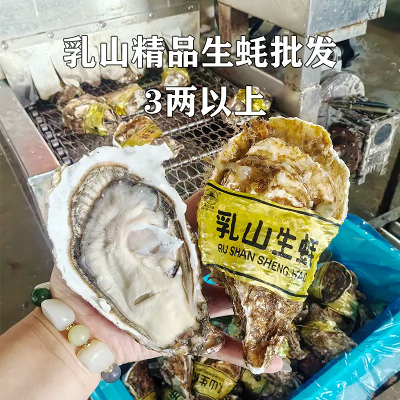 精品乳山3两生蚝50斤整箱全年发鲜活海鲜水产批发牡蛎肉乳山生蚝