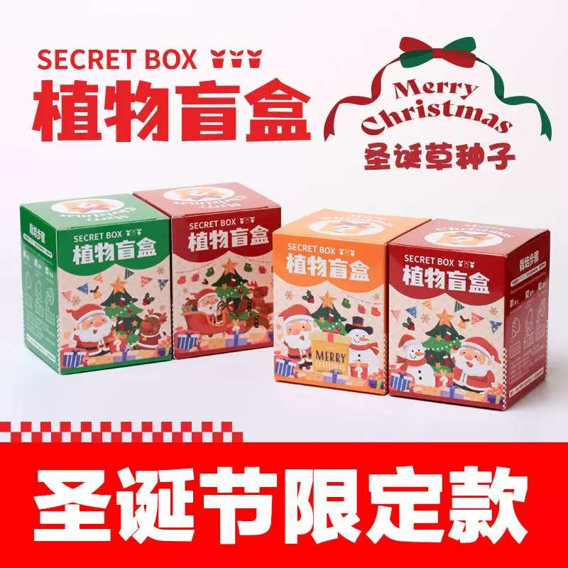 圣诞礼物植物盲盒批发儿童种植盆栽花卉绿植盆栽学生种子观察盒