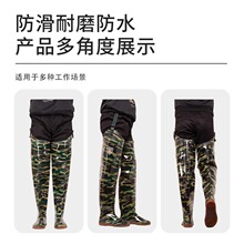 Դ�^�S���Բ�80cm�L����ˮЬˮ��Ь��ˮѝ �Բʼ��L�Ӻ��^ϥ