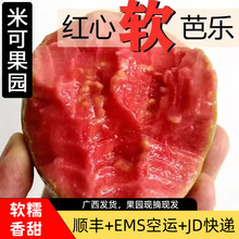 ����ܛ�������V���t��ܛ�İŘ���ʯ�����rˮ������3/5����]