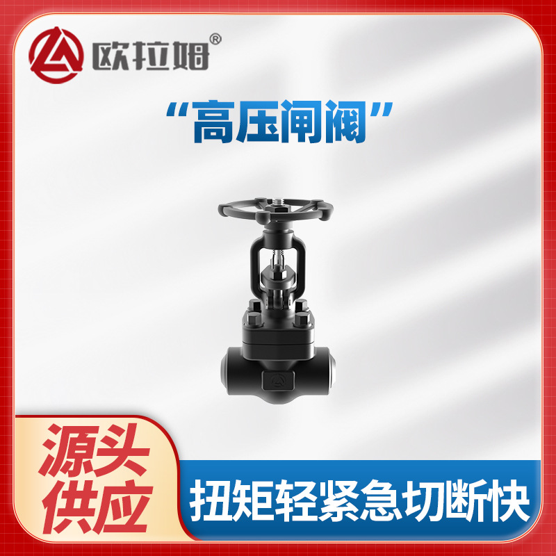 美标高压闸阀 碳钢材质BW接口 压力等级1500Lb 聚合系统优化质量