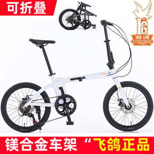 �w���B����܇���p��y����˰��p��׃����Ů��ͨ�ڌW��܇