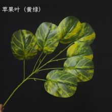 ���������~�O���~����Gֲ���~�ӻ�Y���쾰�ҾӔ[�żپG�~�ӿ羳