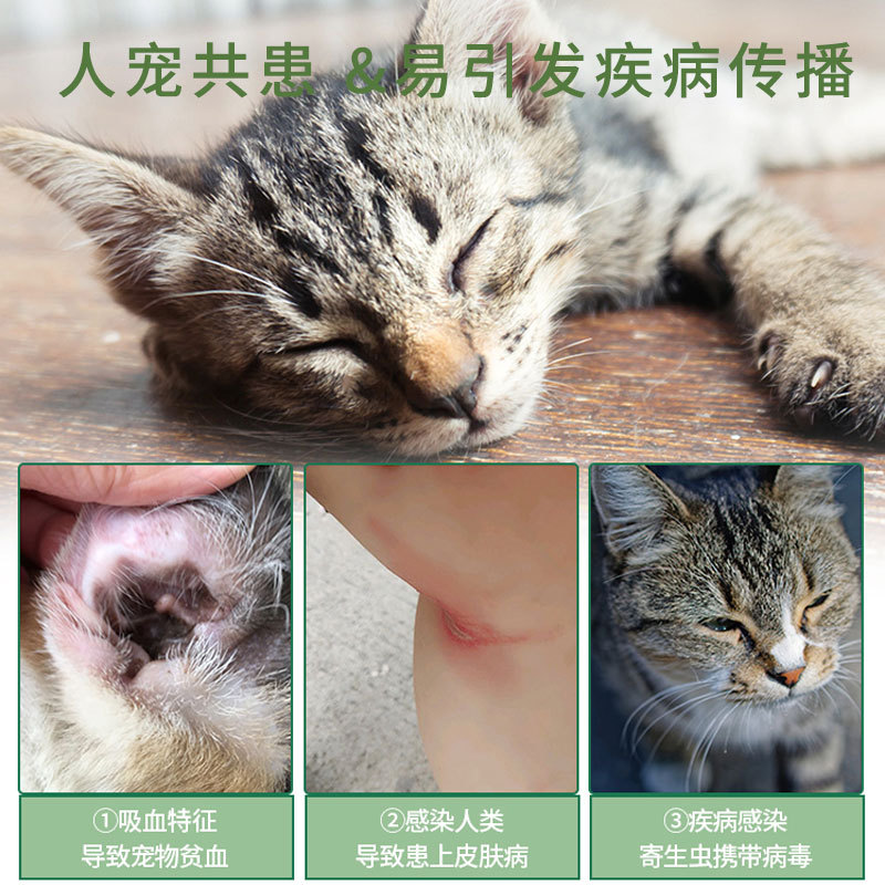 Collar antiinsecticida para gatos, productos antipiojos, collar de perro externo, collar de perro, perro, mascota para gatos, collar antipulgas