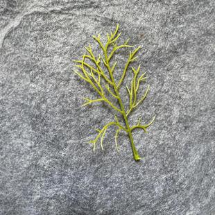 Simulated Plants Christmas Aquatic Plants Accessories Potted Landscaping Decoration Wedding Plants Plastic Material Aquatic Plants Simulated Plants