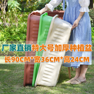 ¶̨��̖�L���μӺ��֬�Nֲ�仨��Nֲ���ϻ����̨�����бP�S��