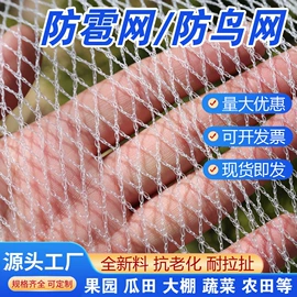 遮阳网;跑道草坪;其他塑料篷布