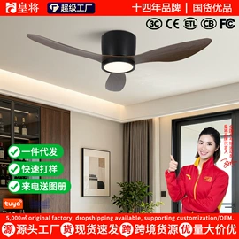 风扇灯;电风扇;吊扇