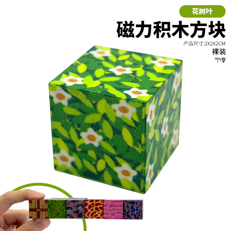 MC My World Magnetic Blocks Puzzle