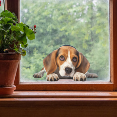新款fun-f101卡通創意小狗偷窺玻璃門窗背景裝飾窗貼批發 靜電uv