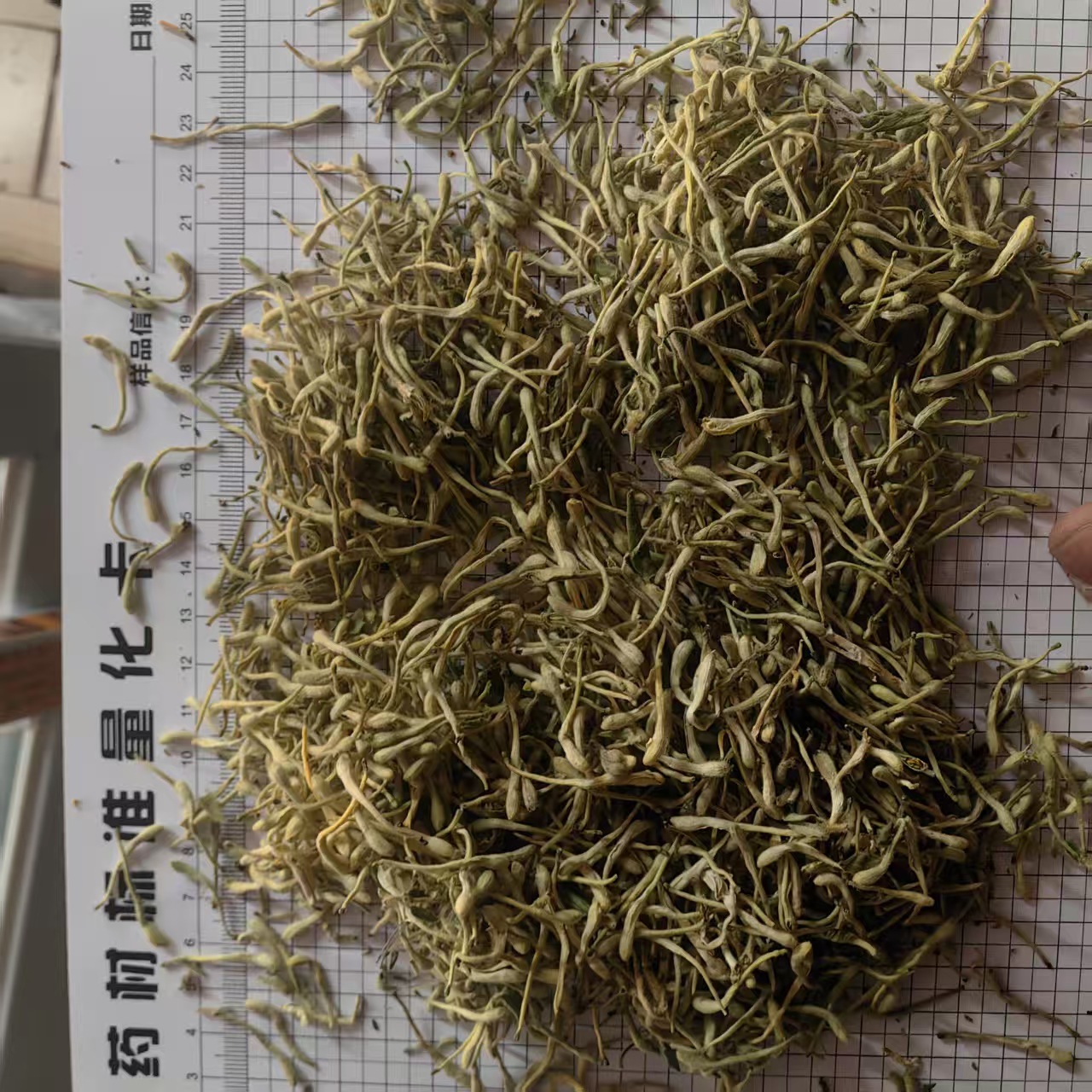Honeysuckle Flower Jin Yin Hua Dried Buds for Tea and Decoction 500g Sun Dried Bulk Herb quality and texture