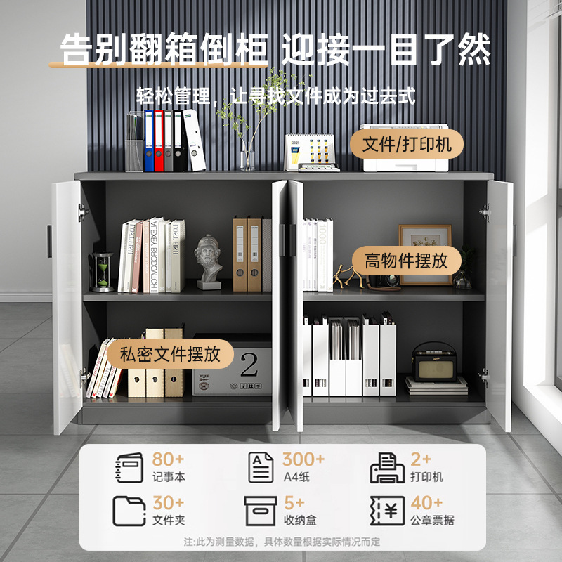 文件柜资料柜办公室置物柜员工档案柜凭证收纳柜子储物柜落地矮柜|undefined