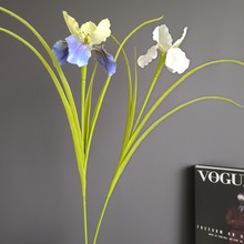 �����ָй��z���Sβ�m�۠��m�����z��ʽ�L�ҾӘӰ��g��c�廨���l