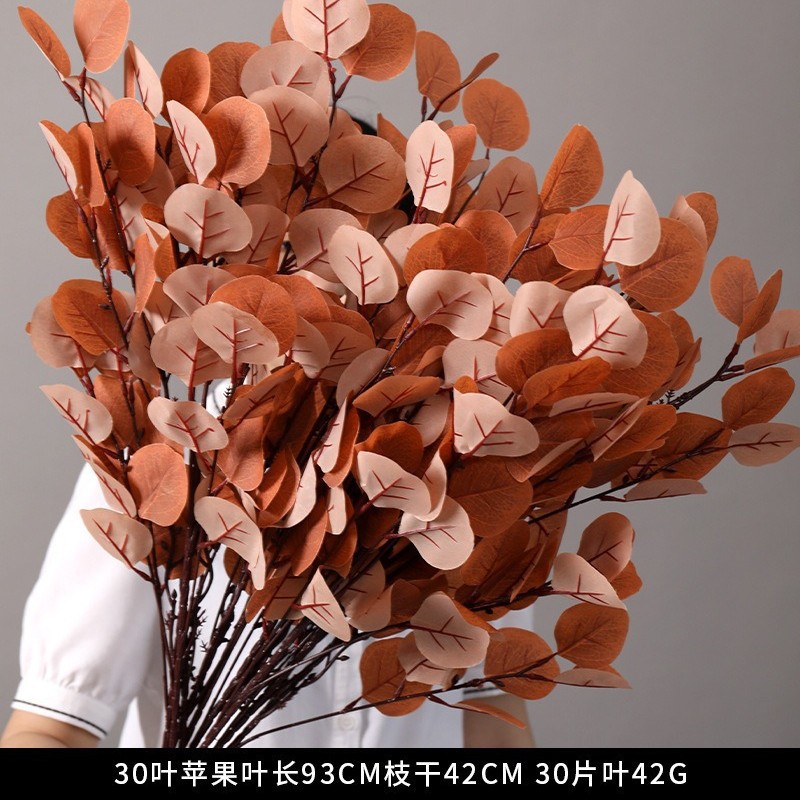 30 잎 사과 잎