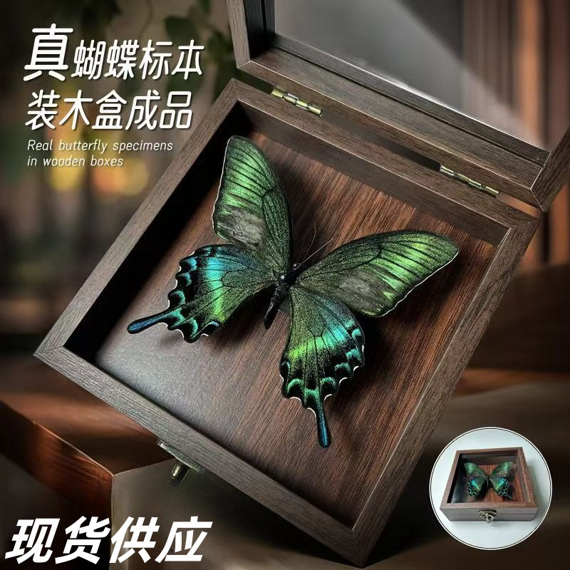 True Butterfly Specimen Insect Specimen Table Three-dimensional Frame Display Frame Picture Frame Landscape Photo Frame Birthday Gift