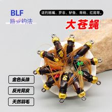 BLF�S����nω·���N���|�~���~���~���nω�wω�h���{�t�G������