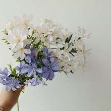 ���滨�����m��ɫ�廨��� ܛ�b��O ���������� �zӰ����