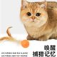 Cat Toy Bouncing Ball Feather Fun Cat Stick Self-Hei-Easing Artifact PIDAN Same Cat Interactive Pet Supplies