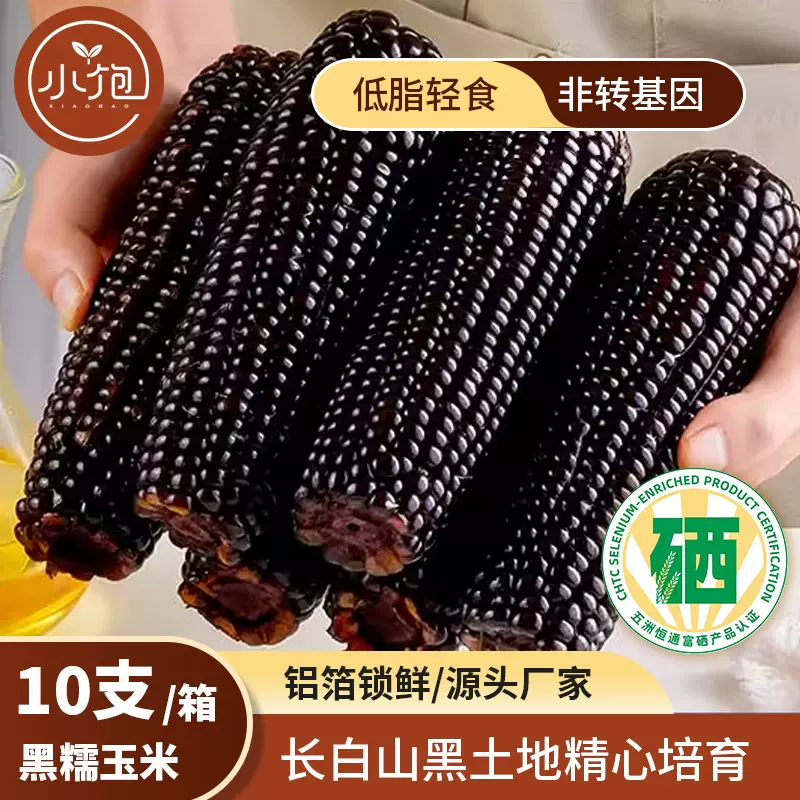25年当季东北玉米新鲜糯玉米批发富硒黑玉米独立真空10支包装