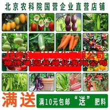 农科院蔬菜种子果菜番茄籽黄瓜玉米草莓萝卜阳台种植种籽家庭种菜