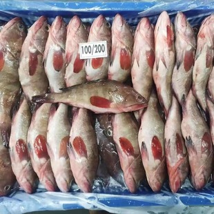 �r���t�~���l��؛���Ų���tʯ���~����������r��~�����~���F