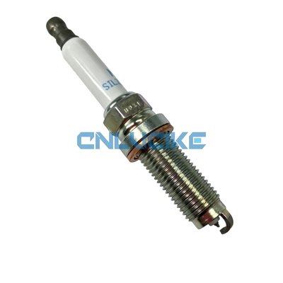 Alışdırma şamı (Sveçalar) LR 050998 C2Z28434