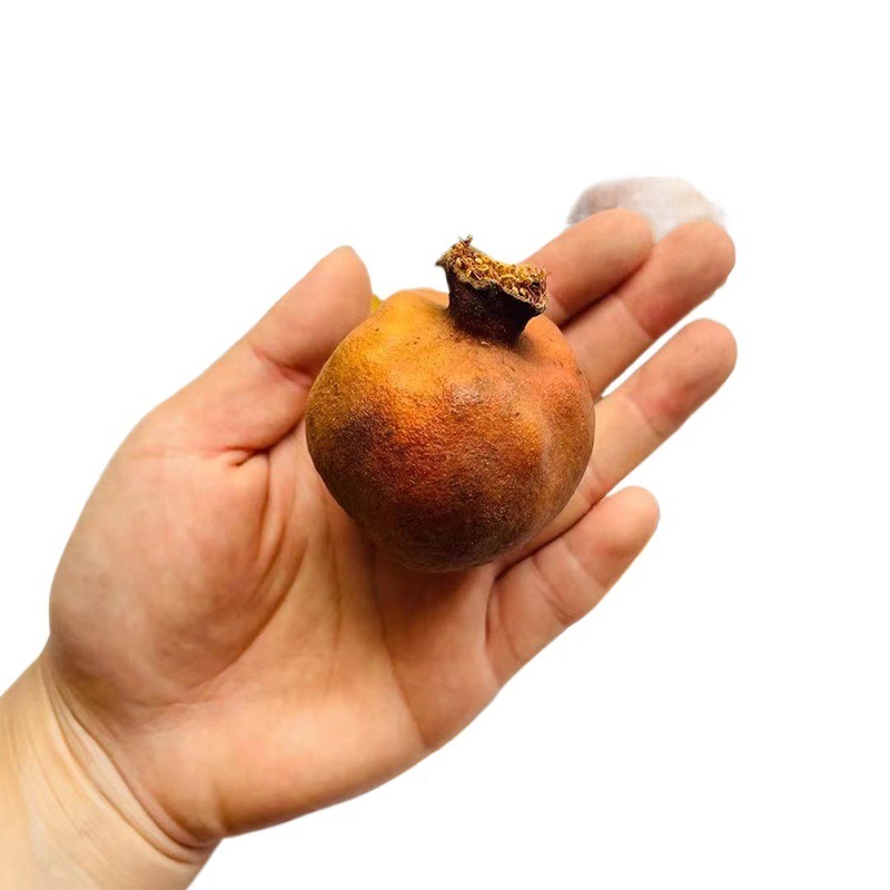 Branches de grenades artificielles pour décoration dintérieur_voghion.com