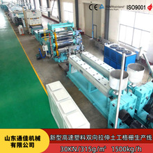 土工格栅双向塑料格栅路基加固边坡防护挡土墙沥青路面土工格栅