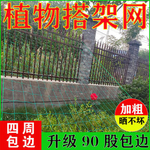 �@ˇֲ�����پW�����Nֲ��ܽz�ϰ���������¼����Ӵ��ش�