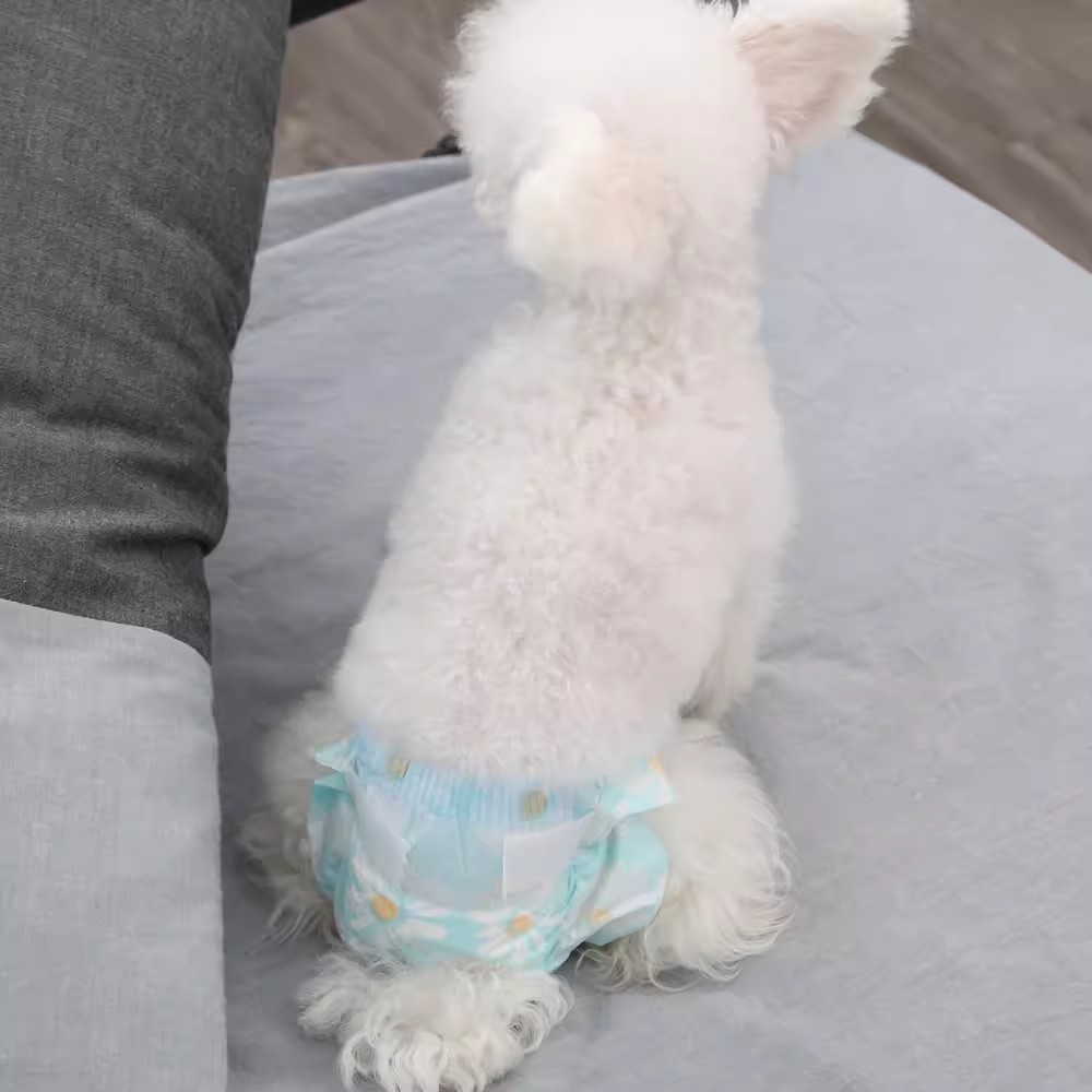 Pañal para perros pantalones fisiológicos Teddy masculino pantalones educados cachorro Bomei anti-lío orina especial para mascotas pañales para perros masculinos