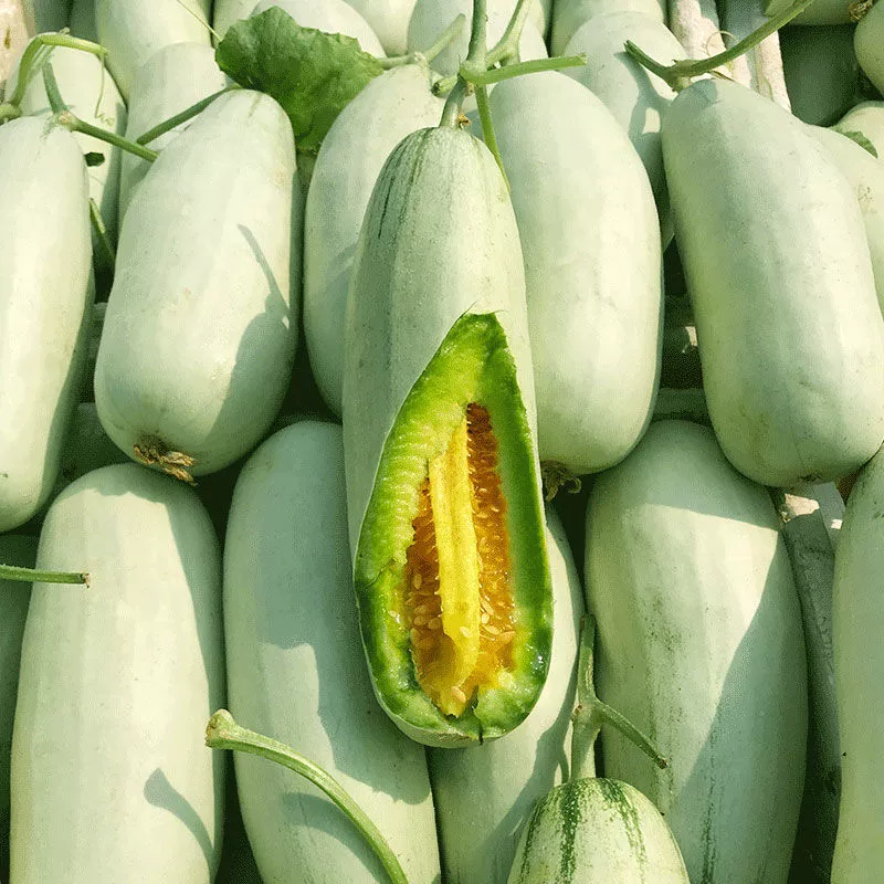 5 кг почтовых расходов свежий круассан мед Дыня теперь выбран хрустящий сладкий сочный хрустящий Дыня круассан мед оптом