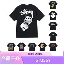 stussy˹D2025¿ŮTļʿ230gذƷ|T