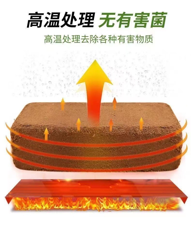 2c49b68a-0041-41e6-abb6-2c3d4ec04871.jpe