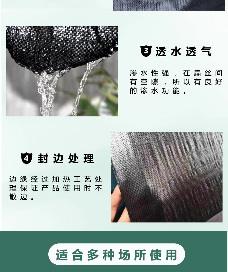 详情6
