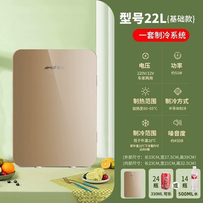 Small Refrigerator and Freezer for Cosmetics, Soyuducular - basic-single-core-model-22l-gold-glass-car-home-use