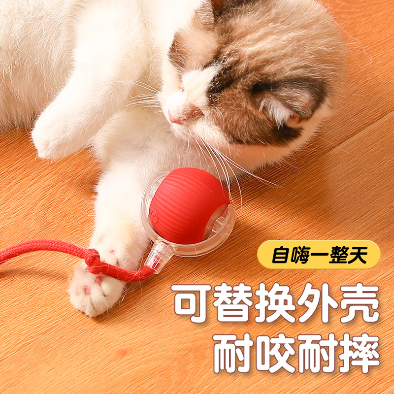 Pelota de gato divertida automática con cuerda resistente a morder transfronteriza, bola de juguete de gato, artefacto para aliviar el aburrimiento, suministros para mascotas, bola rodante