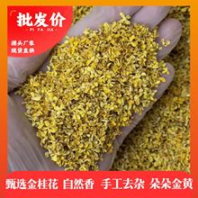 2025桂林花草茶批发新品桂花茶桂林干桂花养生茶花茶饮料茶叶