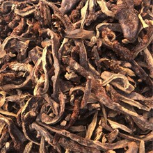 批发骨碎补 崖姜 岩连姜 爬岩姜 肉碎补 石碎补 各种规格