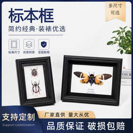 蝴蝶标本画框中空相框摆台装饰昆虫标本展示源头厂家