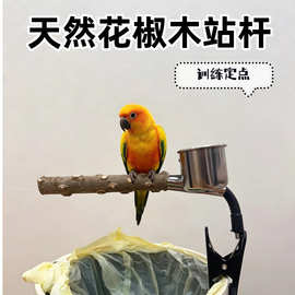 鹦鹉花椒木站杆站架垃圾桶定点排便拉屎多功能神器搭配食盒专用