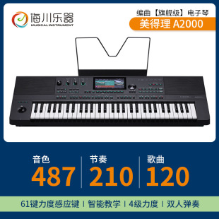 Meideli A2000 Flagship Foreign Trade Akx10 Adult Professional Arranger and Player 61-Key Velocity Keyboard Digital Organ
