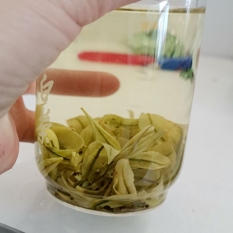 微信圖片_20220813110929_副本800