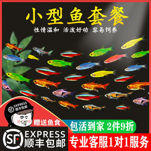 �Ꭷ�^�p���R�~���~���B��ɏ����ˮ���~���ȸ�~С�ͼt�G����С�~